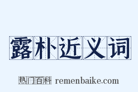 露朴近义词是什么意思的图片